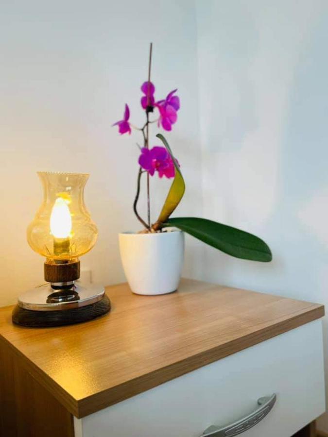 & Draga Apartment *